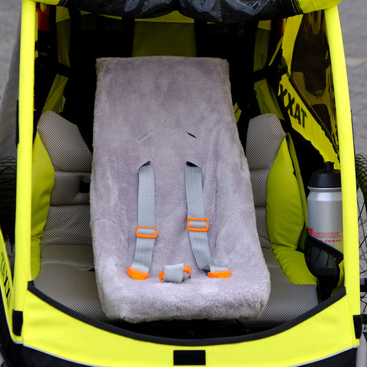 TAXXI Weber baby seat